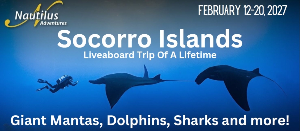 Socorro Islands