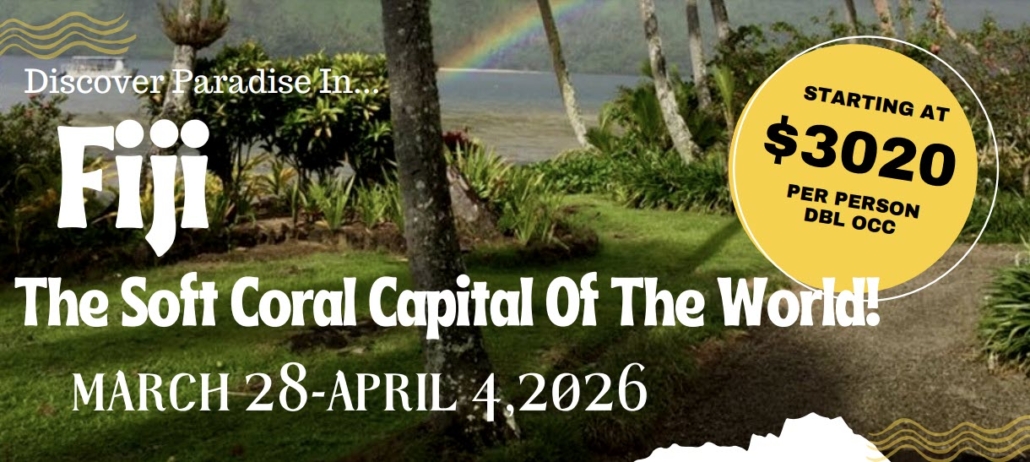 Fiji : March 28 - April 4, 2026