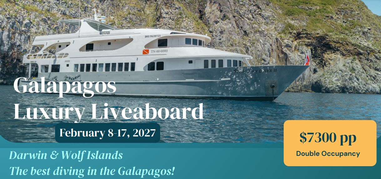 2027 Galapagos Luxury Liveaboard